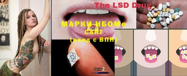 стаф Заволжск