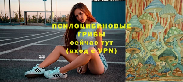 кокаин премиум Заводоуковск