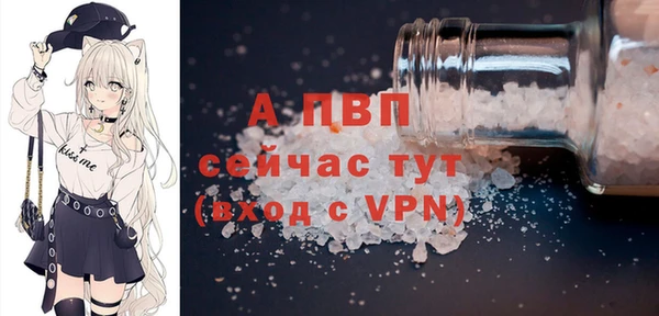 стаф Заволжск
