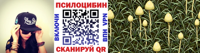 KRAKEN рабочий сайт  Элиста  Галлюциногенные грибы GOLDEN TEACHER 